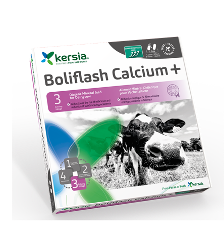 Boliflash Calcium + 1,2kg